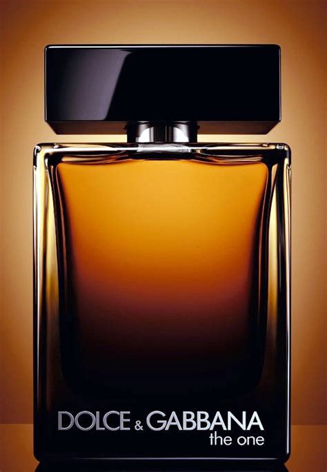 dolce gabbana the one myer